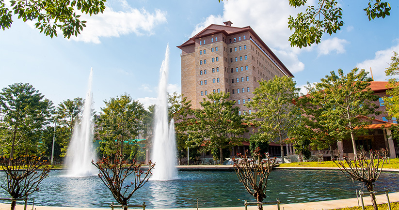 物华天宝 漂亮人世